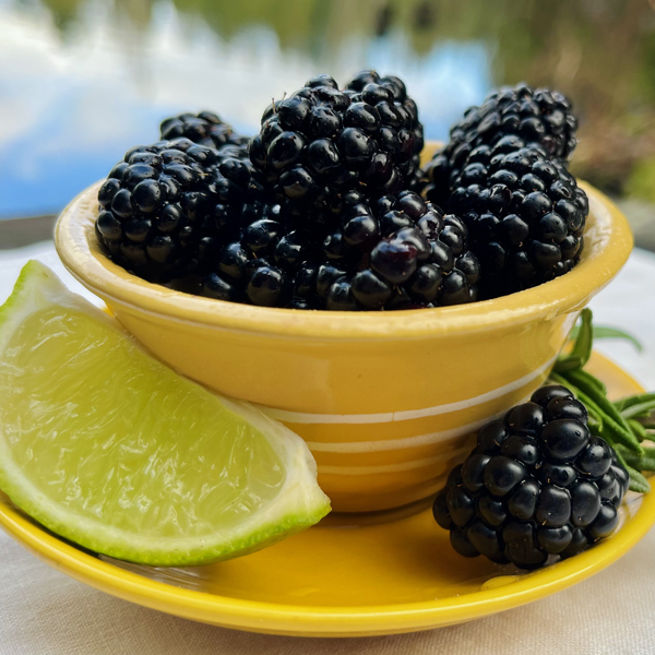 blackberries in a yellow dish with reflections from a lake in the background